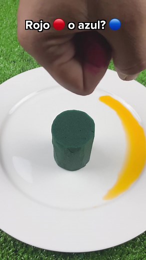 Color Change Challenge: Guess the Color Now!