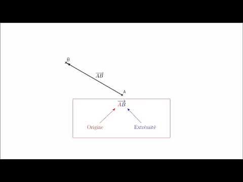 2nde - C'est quoi un vecteur ?