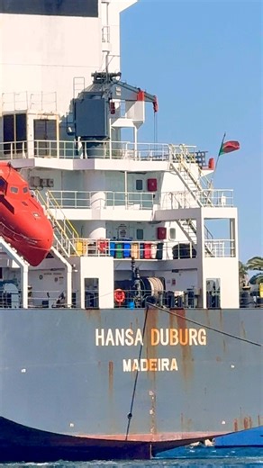 Windy Day in Los Angeles