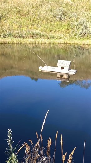 고요 위에 떠 있는 작은 쉼 #shorts #calmpiano #melo #asmr #nature #autumn #pianomusic #house #love #peace #pond