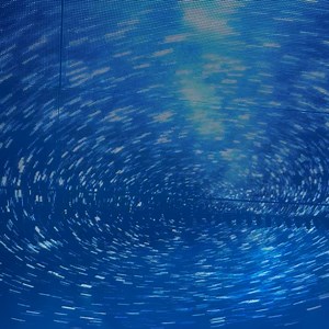 Jason Medina on Reels