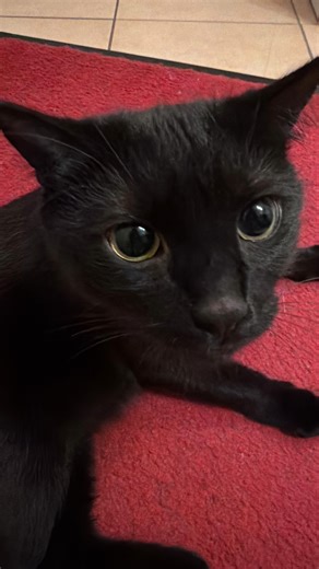 Michael on Instagram: "Meiner Meinung nach unterscheiden sich Instagram und Tales of Wind gar nicht so sehr. Beides waren soziale Netzwerke: ein eigenes Profil, man konnte Rosen schicken, liken, etwas an die Pinnwand posten oder schreiben. Und damals bin ich von ganz unten ganz nach oben gestiegen. Vom Niemand zum mächtigsten Gildenanführer, den es je gab. Ich habe mehrere Accounts gleichzeitig gegrindet, jeden Tag, jede Nacht. Also warum sollte das bei Instagram anders sein? Nächstes Jahr werde