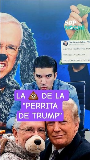 Donald Trump’s "lapdog," or Salinas Pliego, acts like 💩 on Twitter | PONCHO GUTIÉRREZ on SDPnoche 🌙