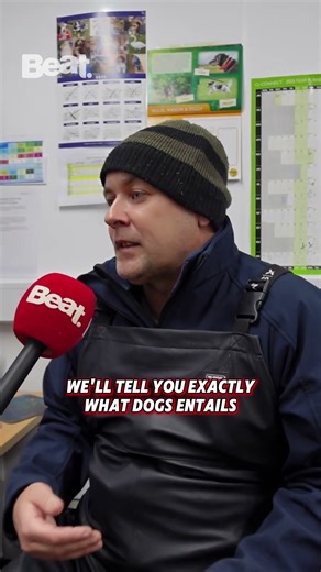 Behind the Scenes at Waterford Dog Pound