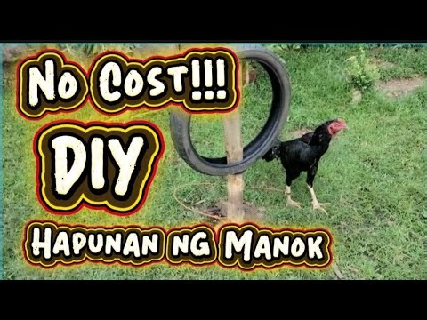 NO COST!!! - DIY - Hapunan ng Manok (Oriental Gamefowl) | DN'A Yard
