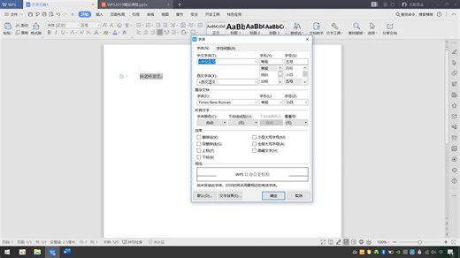 WPS文本格式设置讲解