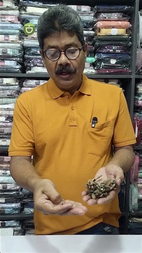 Useful Tips About Swarna champa Seed Germination#plants