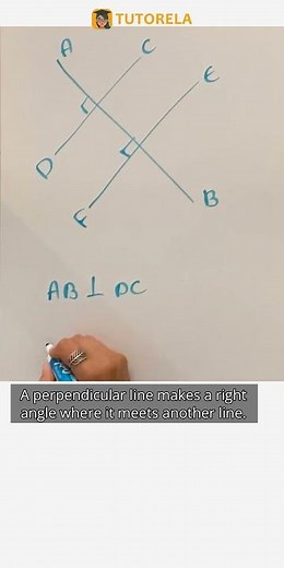 How to Identify Perpendicular Lines in Geometry #Math #ParallelAndPerpendicularLines
