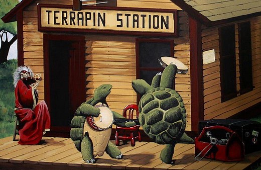 The story behind the Grateful Dead and the Terrapin Turtles