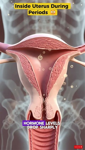 Inside Uterus During Periods 😳 | What Really Happens in Menstruation