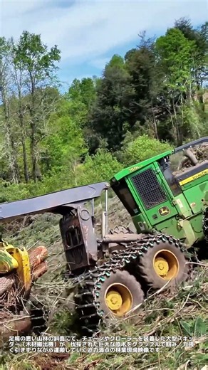 傾斜地を突き進む！山林で大木を軽々と運搬する大型スキッダーの圧倒的パワー