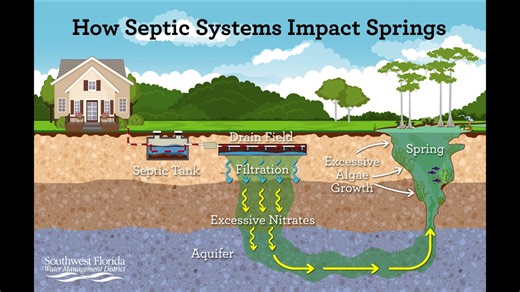 56K views · 360 reactions | #MySprings Learn how septic systems can affect springs. | Southwest Florida Water Management District | Facebook