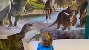 Dinosaur obsessed two-year-old's bedroom gets a makeover