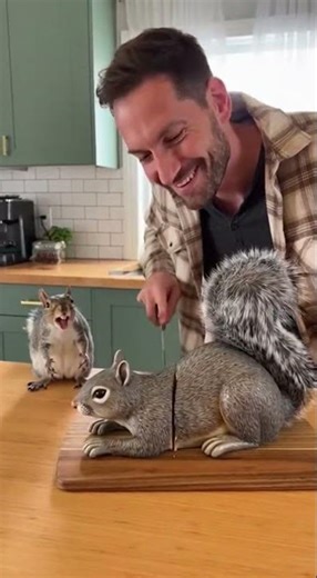 Squirrel Reacts Hilariously to Its Cake Twin! 😄🐿️🎂 #SquirrelReaction #CuteAnimals #ViralShorts