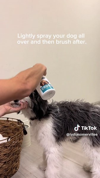 Effective Pet Dander Remover for Allergy-Free Homes