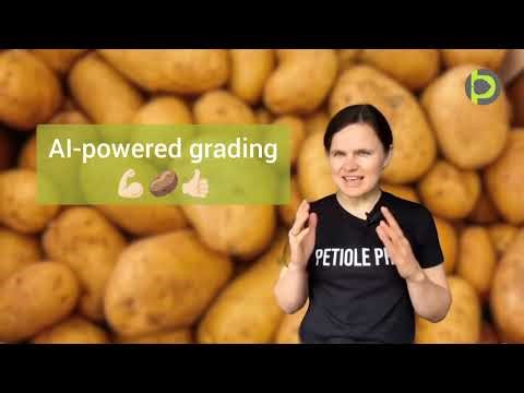 Potato AI - Grading Potato with AI power on a Mobile