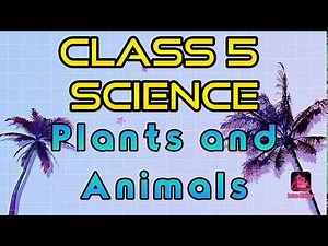 class 5 science / chapter 1/ plants and animals/tulips book by oxford