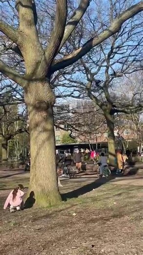 She’s a Real Life Disney Princess! 🐿️ Adorable Squirrel Encounter! #Shorts