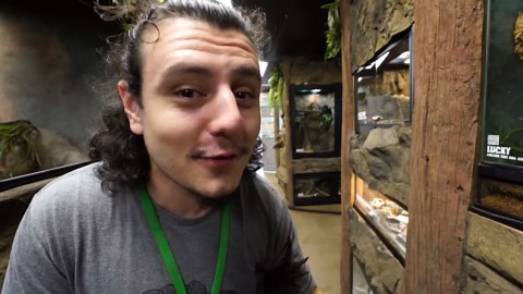 The close call that proved how unpredictable giant anacondas can be