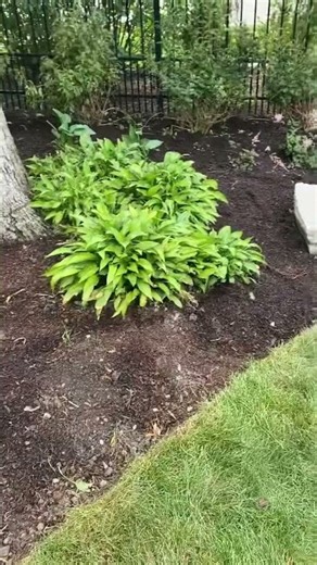 Complete Landscape Makeover in Minutes