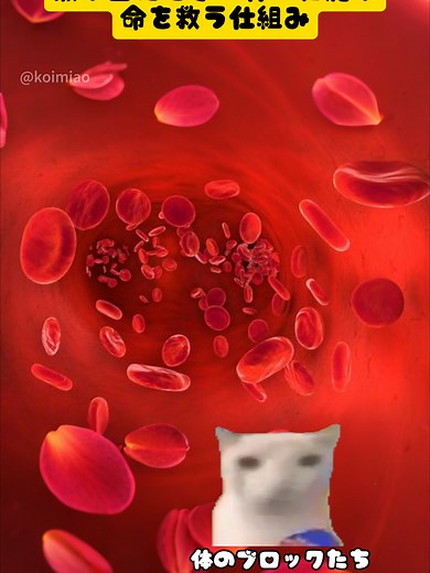 猫ミームが教える体の細胞の仕組み