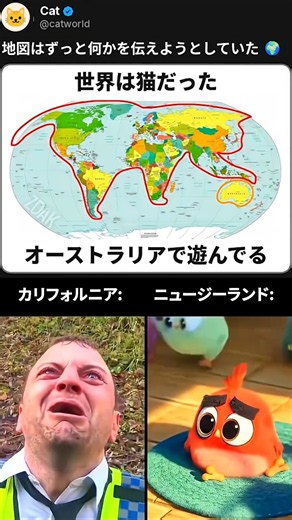 世界地図のこれ、誰も気づいてなかった 🌍🐈