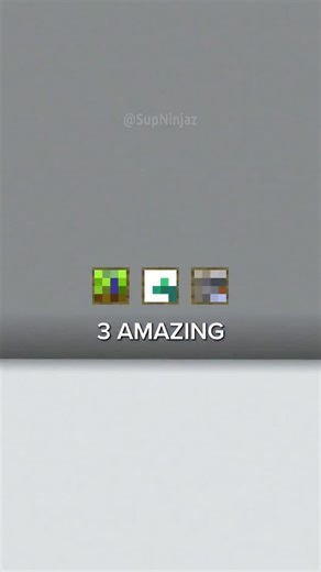 Ninjaz 🦊 on Instagram: "🔥 3 INCREDIBLE Vanilla Plus Mods 🦊 In this video I show 3 amazing Minecraft Vanilla plus mods, that enhences a lot your experience in the game, from a simple mod that improves leaves, to a mod that improves the enchantment tables! #minecraft #mcyt #minecraftmods #mods"