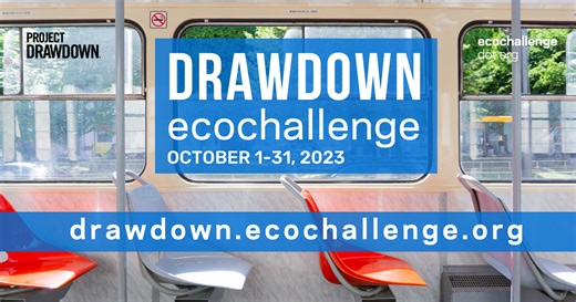 Drawdown Ecochallenge 2023