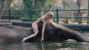 Beautiful Woman Riding Elephant Zoo Playing Stock Footage Video (100% Royalty-free) 1045716967 | Shutterstock