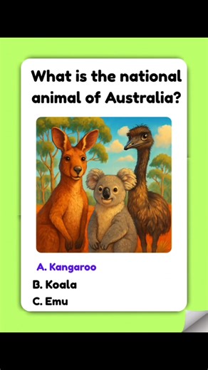 What is the national animal of Australia?#Kangaroo #Koala #Emu #quiz #DownUnder#Outback#Marsupial | Well Walking