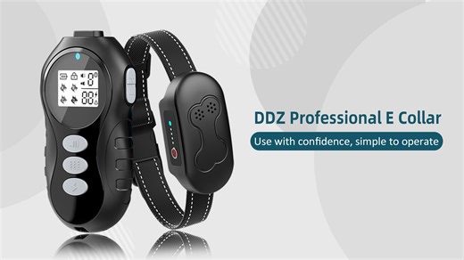 Watch The best dog training collar - an effective training tool. on Amazon Live