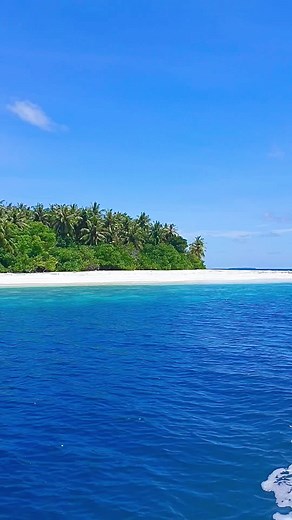 ryokomaldives on TikTok