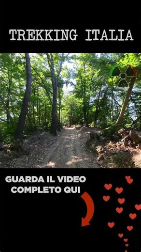 Sentiero boschivo tra Pavaglione e San Bovo - Trekking Italia