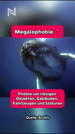 Wenn dir diese Bilder Angst machen hast du Megalophobie | New Facts