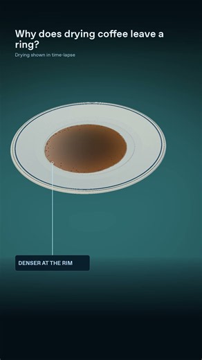 Why does spilled coffee leave a ring?