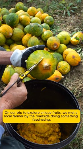 Home Gardening | unique fruit | Instagram