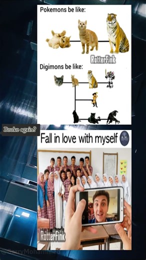 Digimon evolution gets chaotic