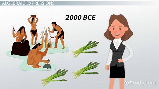 Simplifying Algebraic Expressions | Overview & Examples