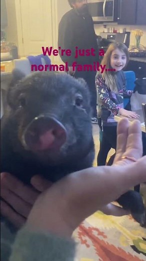 Except we see dead people & repo cars for a living! Watch our cozy reality show ‘Psychic Repo’ 🛻👻