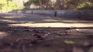 Tackle any terrain with @evolveskateboards 🤘🏻 | Evolve Skateboards