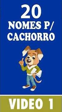 20 Nomes de Cachorro Macho Populares! 🐶✨ Nomes curtos e fortes!
