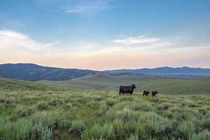 Climate-Smart Agriculture Whitepaper | AgAmerica