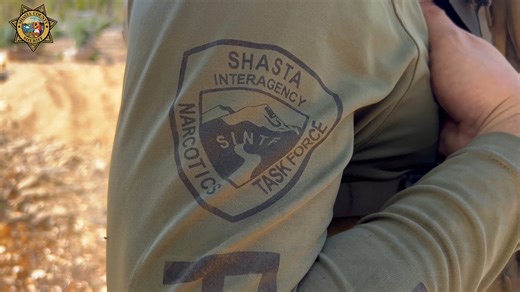 MEDIA RELEASE Multi-Day, Multi-Agency Marijuana Eradication Operation Last week, from September 9th through 13th, 2024, the Shasta County Sheriff’s Office Marijuana Eradication Team (MET), along with several allied state and local agencies, conducted an eradication operation on large-scale illegal marijuana grows throughout Shasta County. In all, 34 search warrants were served on 42 parcels and resulted in the following totals: • 29,349 marijuana plants eradicated • 796 pounds of processed marij