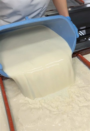 丹沢の名水で作る生湯葉｜丹沢大山五右衛門 本店の贅沢な味