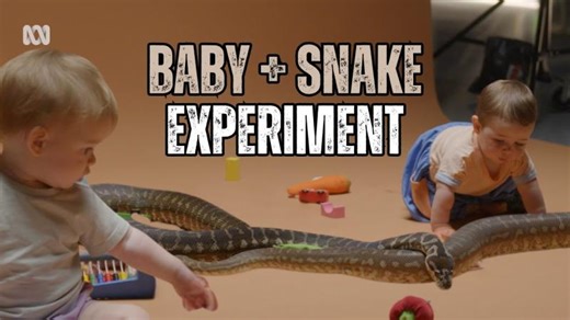 The Surprising Reason Babies Are NOT Afraid of Snakes | Secret Science | Daniela Silva