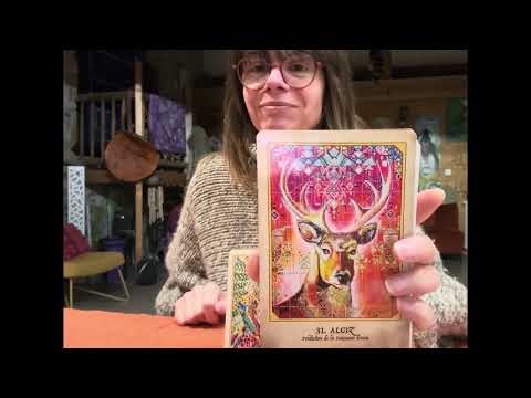 ✨Guidance Des Éléments et des Esprits Alliés✨ 💦🌍🔥