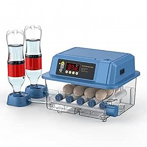 9-30 Eggs Chicken Egg Incubator, Automatic Egg Turner, Temperature Control, Egg Candlestick, Poultry Egg Incubator for Hatching Chicken Duck Goose Quail Bird Parrot Turkey…