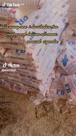 eve256projects (@eve256projects)’s videos with original sound - eve256projects