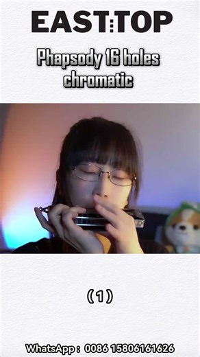The 16-hole chromatic harmonica gives harmonica lovers a musical experience like no other.#harmonica #bluesharp #Harmonicateaching #easttop #manufacture