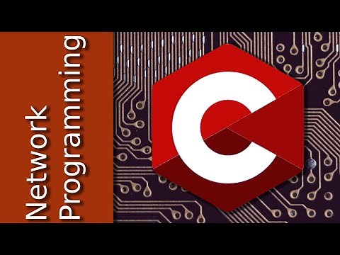 Peer to Peer Network from Scratch: Sorting, Searching, and Sharing